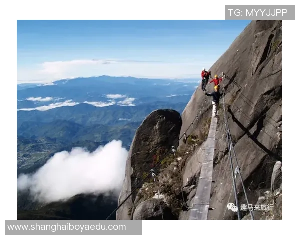 张静谈极限运动的挑战与成长：从初学者到顶尖选手的心路历程